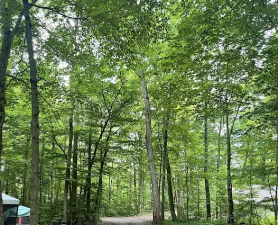 Maples Campground