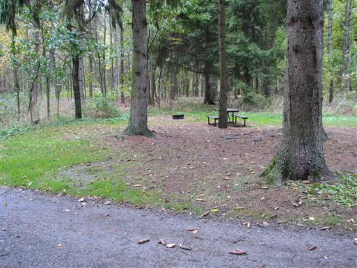 Maples Campground 3