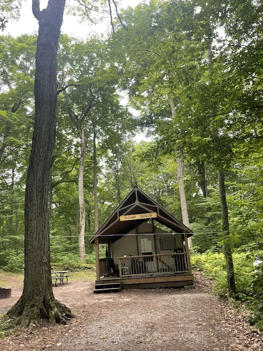 Maples Campground 6