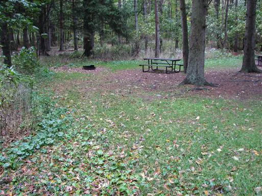Maples Campground 1