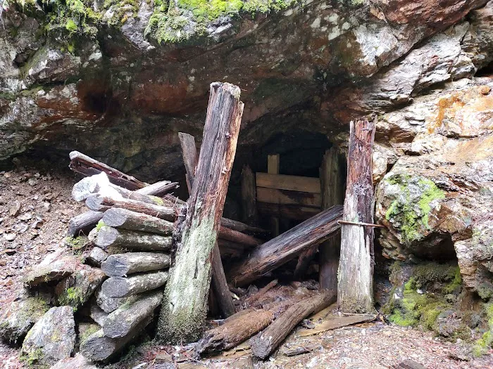 Delacy campsite 0