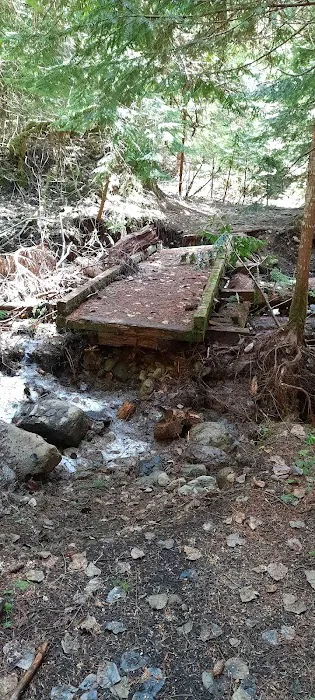Delacy campsite 1