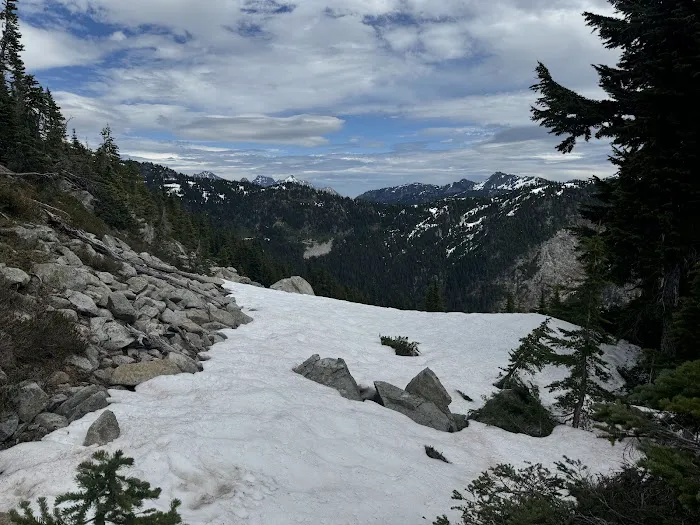 Flora Lake Campground 4