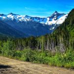 Jones Lake Main Campsite