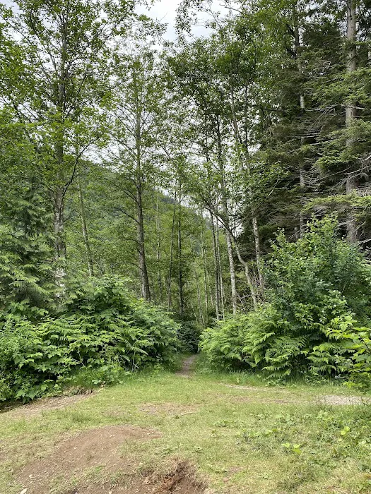 Bench Campground 3