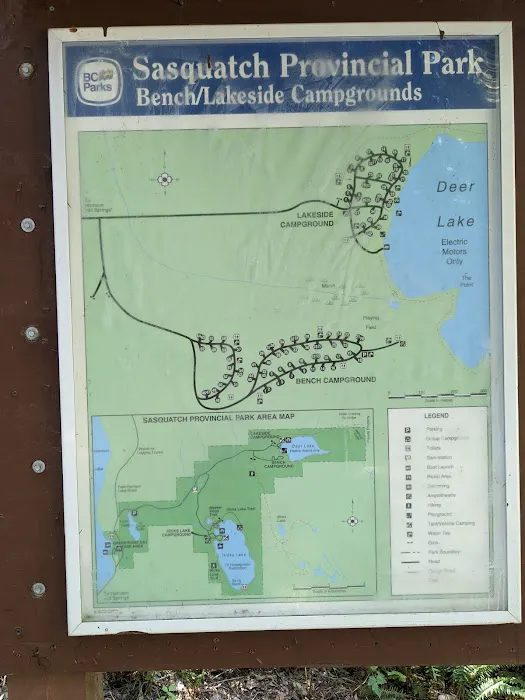 Bench Campground 8