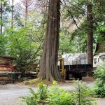 Harrison Springs Camping & RV