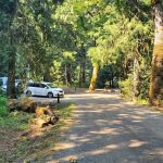 Maple Bay Campground