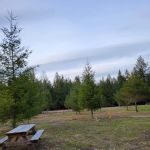 Washtock Family Campground