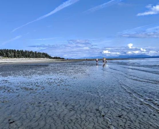 Thunderbird RV Park & Cottage Resort