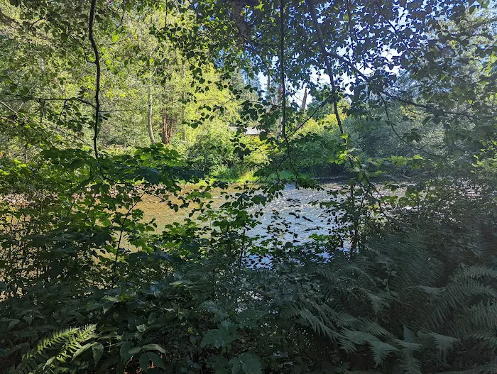 Quinsam Campground 5