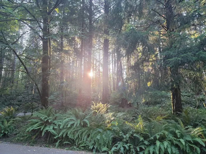 Quinsam Campground 8