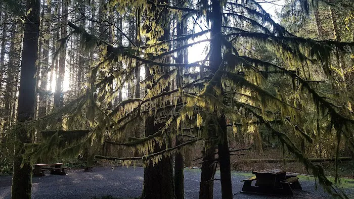 Quinsam Campground 0