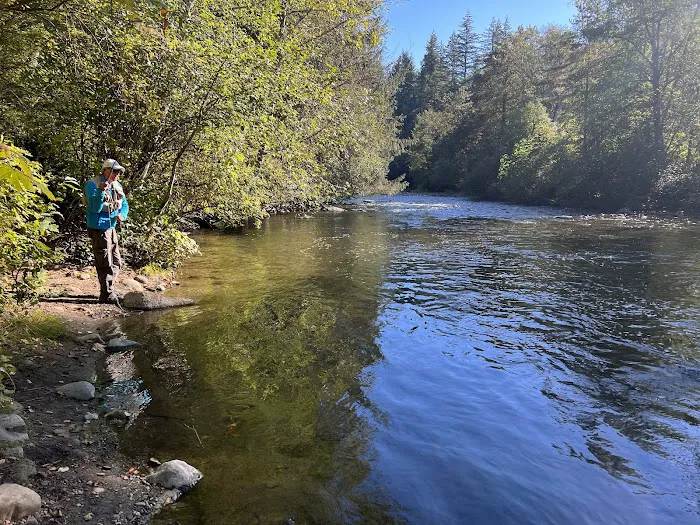 Quinsam Campground 3