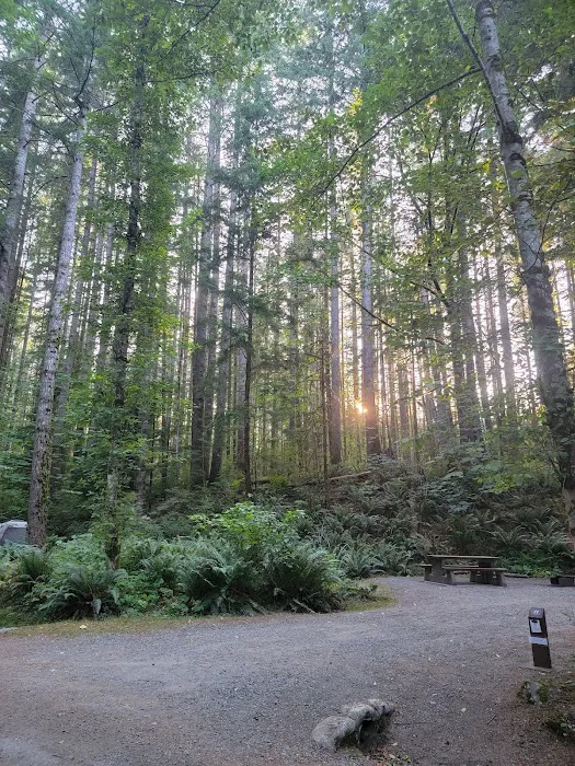Quinsam Campground 4