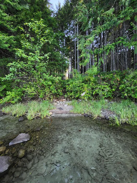 Pacific Yew Recreation Site 2