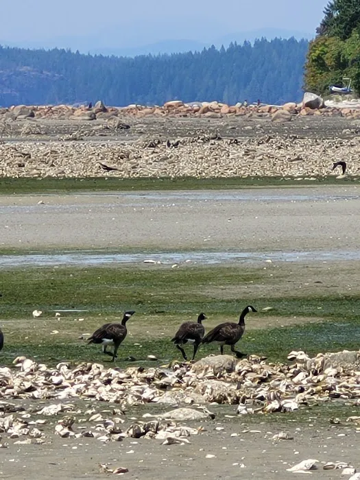 Smelt Bay Provincial Campground 7