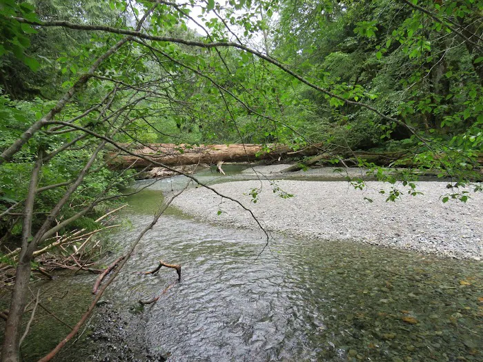 Campbell River Fishing Village R V Park 1