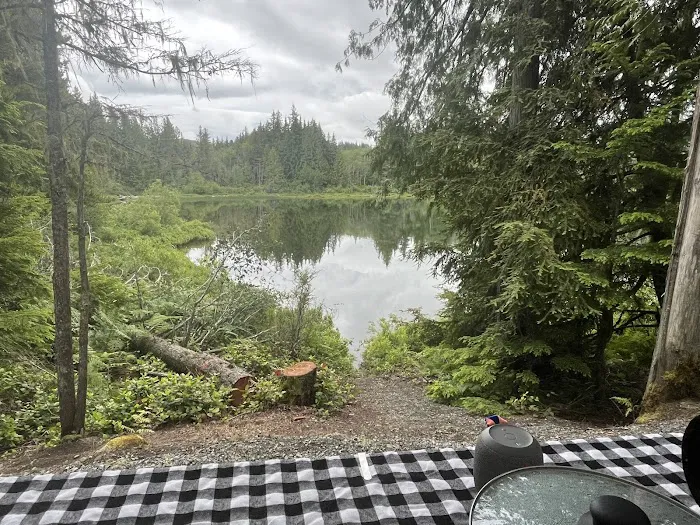 Willington Point Campsite 6