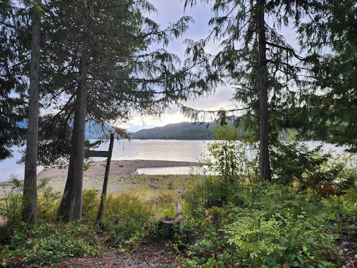 Willington Point Campsite 1