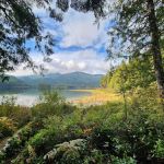 Willington Point Campsite