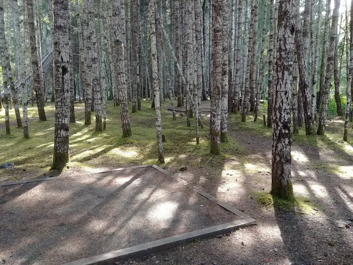 Wolf River Camp Site 1