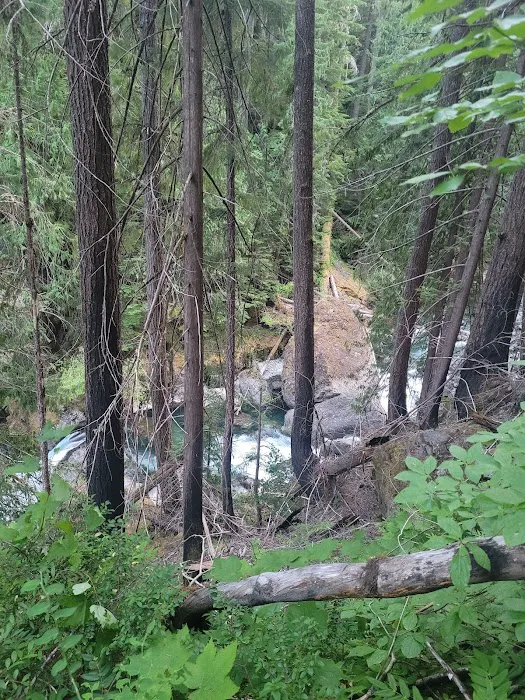 Wolf River Camp Site 9