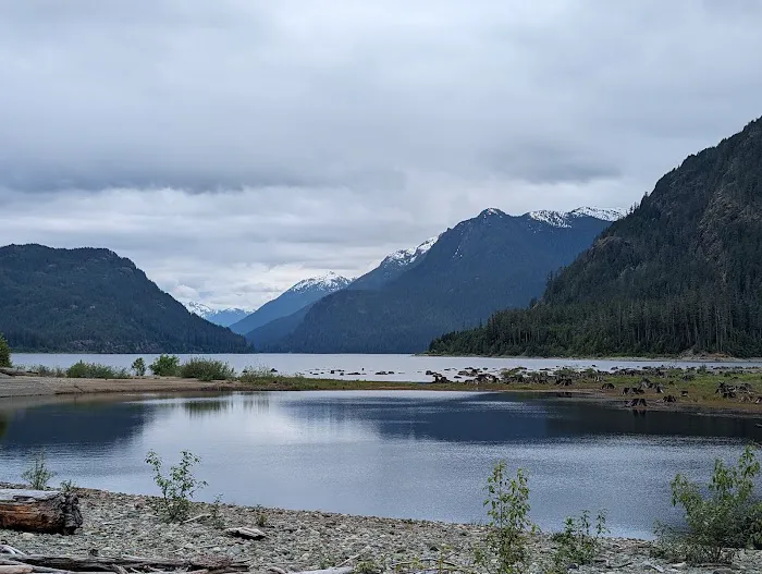Buttle Lake Campground 5