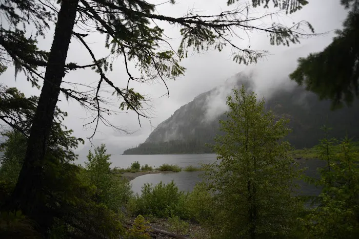 Buttle Lake Campground 1