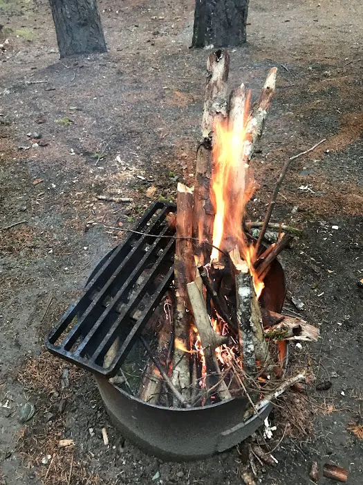 Buttle Lake Campground 4