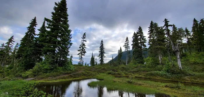 Circlet Lake Campground 5