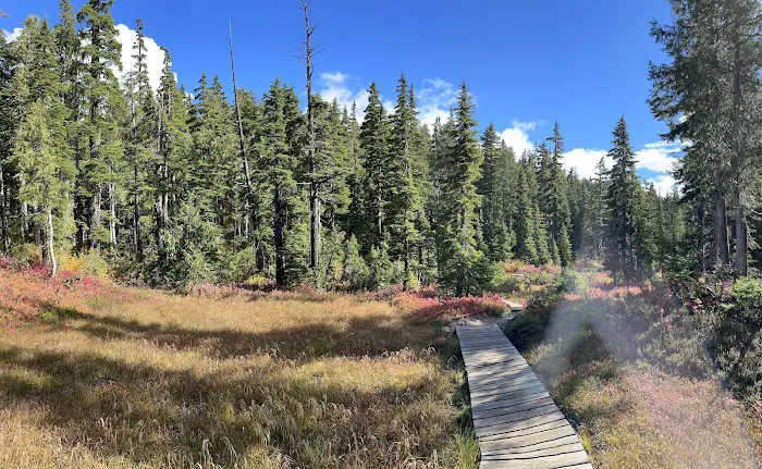 Circlet Lake Campground 6
