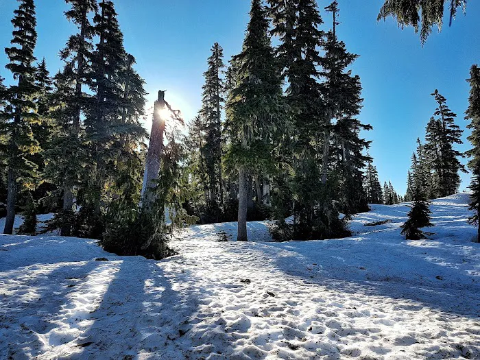 Circlet Lake Campground 9