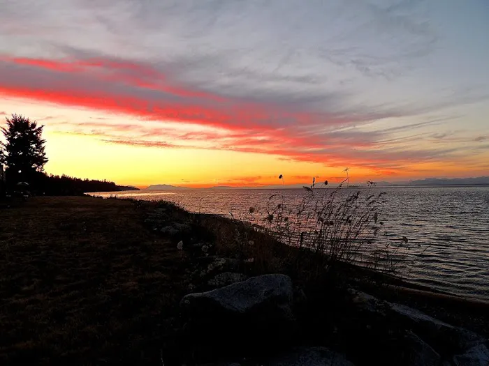 Bates Beach Oceanfront Resort 5