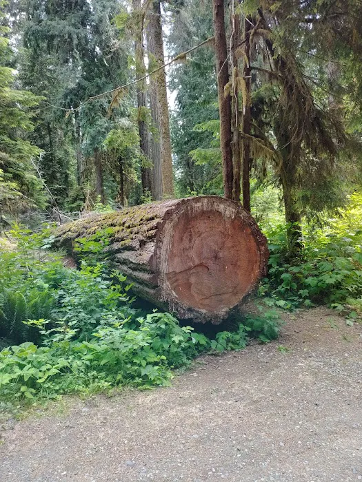 Ralph River Campground 7