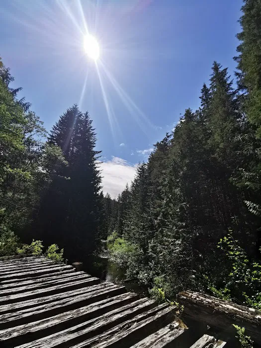 Brewster Camp Recreation Site 8
