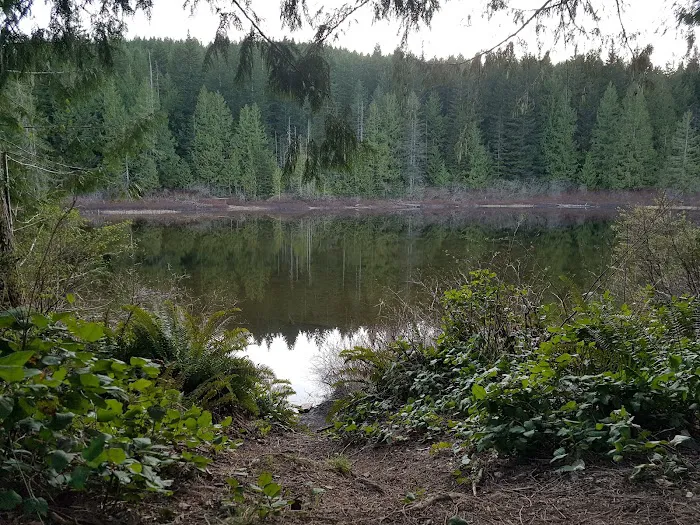 Brewster Camp Recreation Site 6