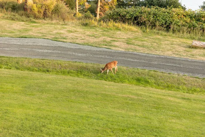 Tsa-Kwa-Luten Lodge/Cape Mudge Resort 3