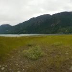 Phillips Creek Campsite