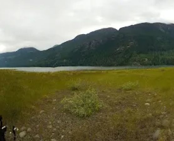 Phillips Creek Campsite