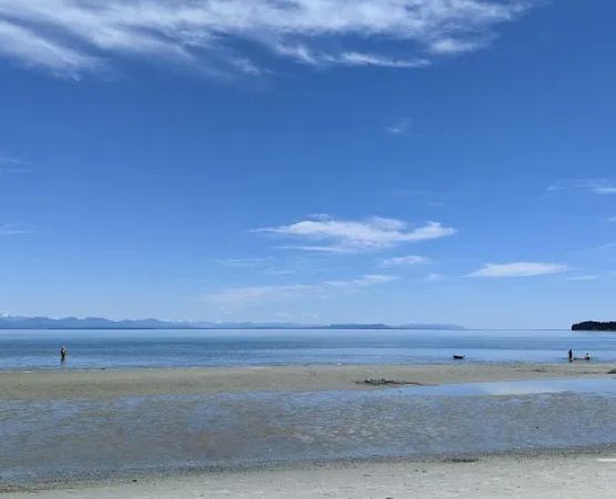 Taylor's Sandy Beach Resort
