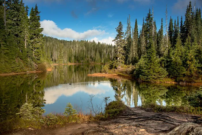Strathcona-Westmin Provincial Park 4