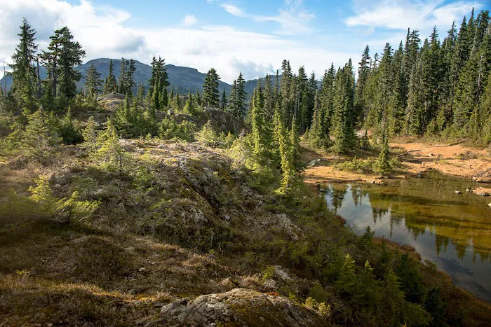 Strathcona-Westmin Provincial Park 1