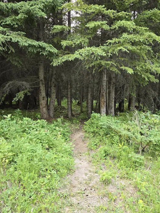 Camp Skinner 4