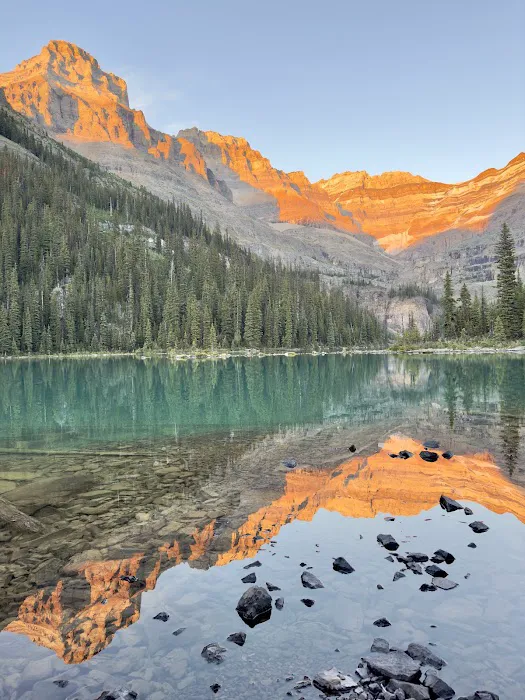 Lake O’Hara Campground 4