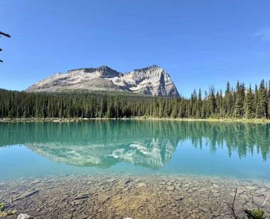 Lake O’Hara Campground