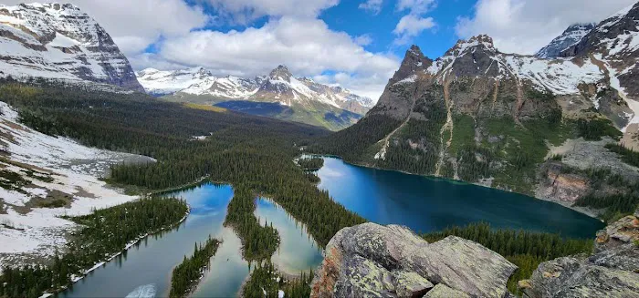 Lake O’Hara Campground 6