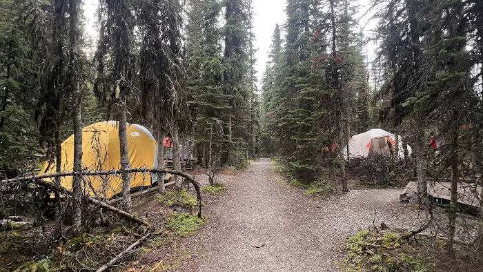 Lake O’Hara Campground 8