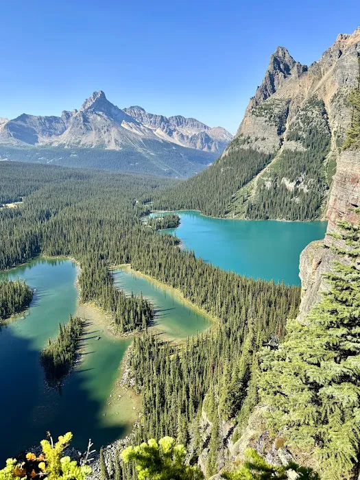 Lake O’Hara Campground 9