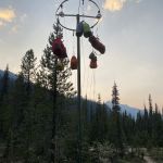 Laughing Falls Campground